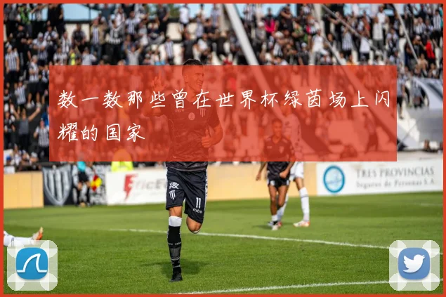 数一数那些曾在世界杯绿茵场上闪耀的国家