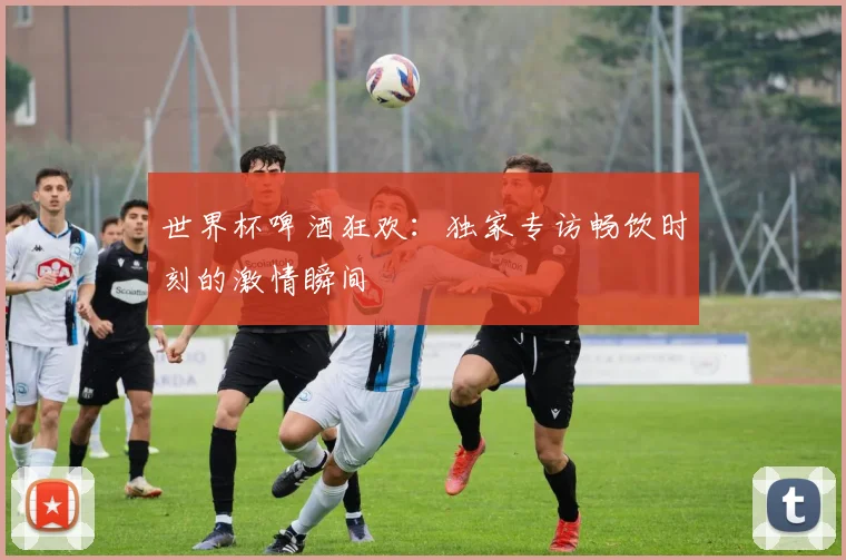 世界杯啤酒狂欢：独家专访畅饮时刻的激情瞬间