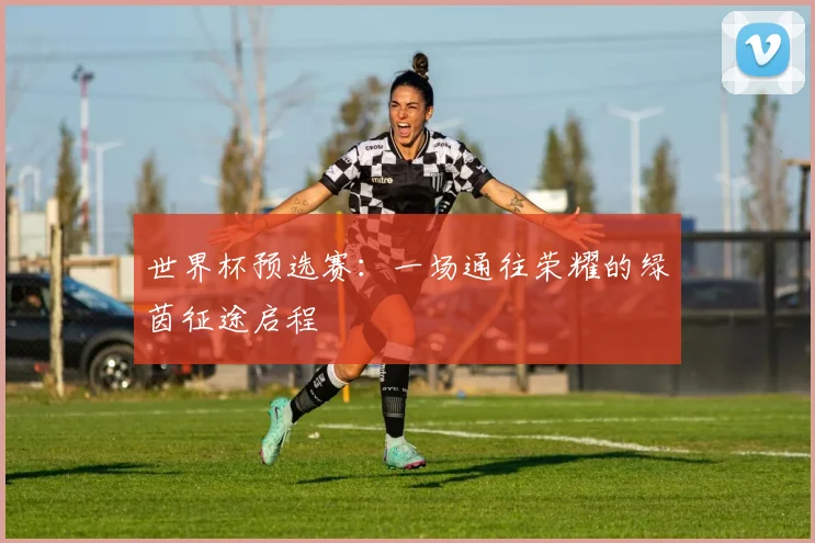 世界杯预选赛：一场通往荣耀的绿茵征途启程