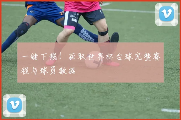 一键下载！获取世界杯台球完整赛程与球员数据
