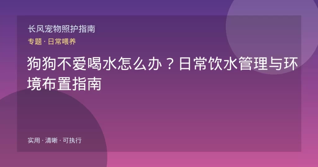 狗狗不爱喝水怎么办？日常饮水管理与环境布置指南